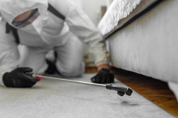Professional Bed Bug Control technician working in Smithville-Sanders, IN
