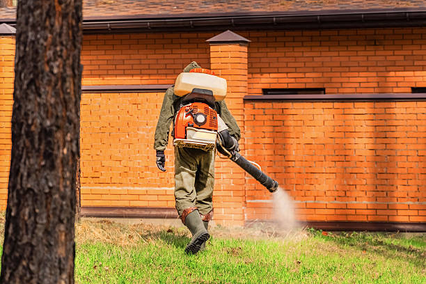 Trusted Bed Bug Control service in Smithville-Sanders, IN - Nex Pest Control
